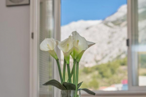 Apartman Šime